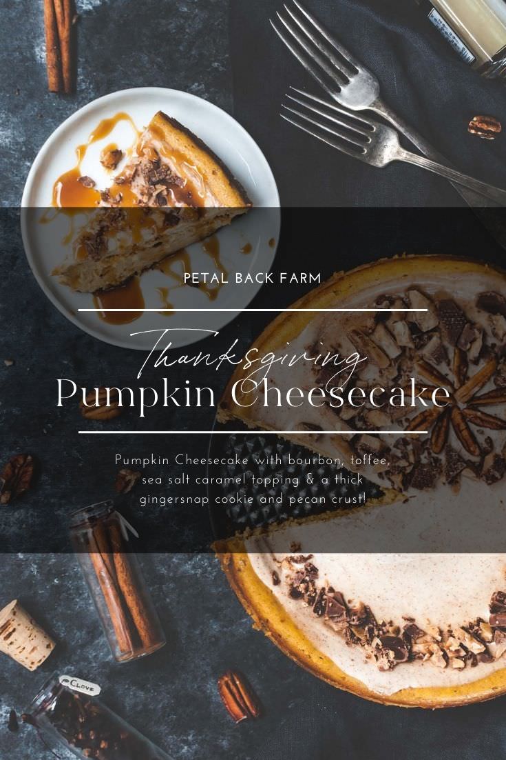 Thanksgiving Pumpkin Cheesecake Pinterest