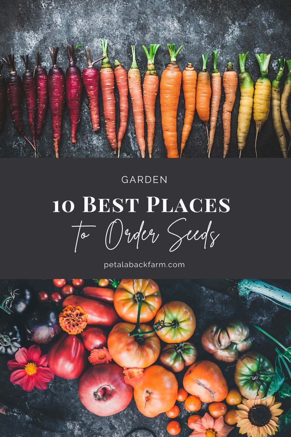10 Best Places to Order Seeds
