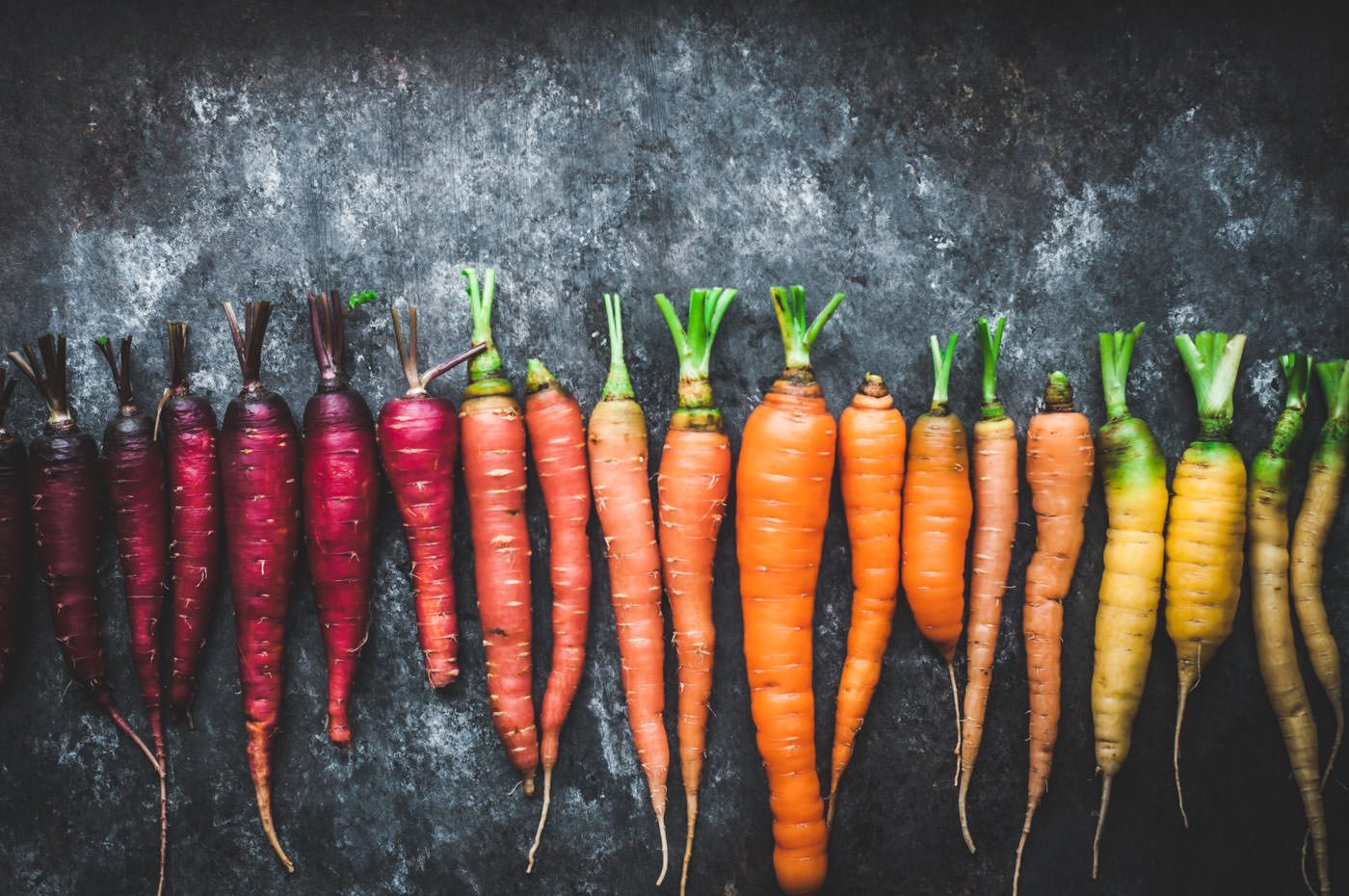 10 best places to order seeds–rainbow carrots