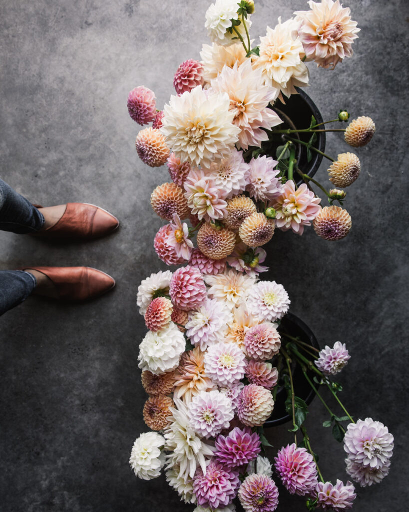 Favorite Wedding Flowers for Farmer Florists Dahlias