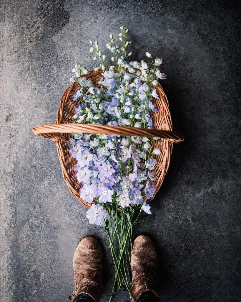 Favorite Wedding Flowers for Farmer Florists Delphinium