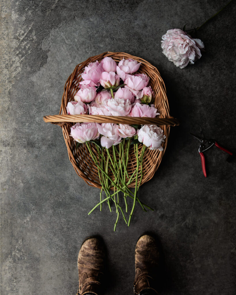 peony harvest basket
